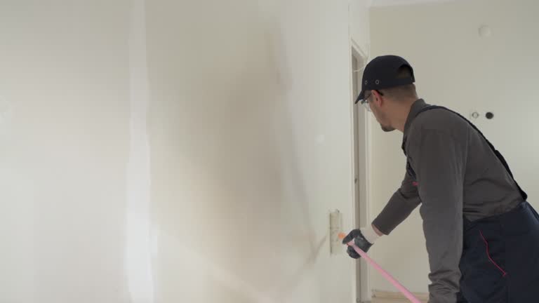 Best Drywall for Remodeling  in Mcnary, AZ